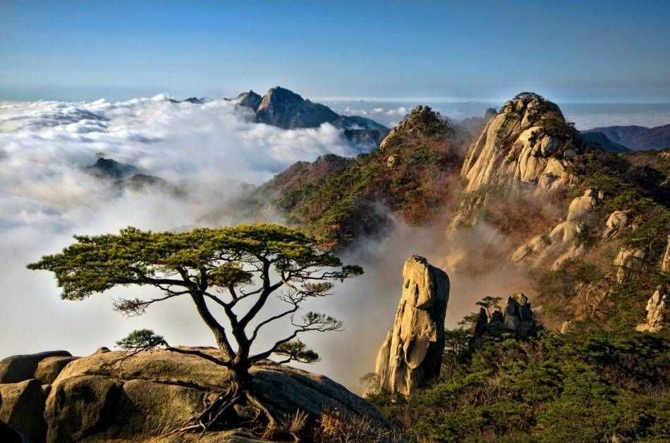 Дальинтурист - туристическая компания - фото 1