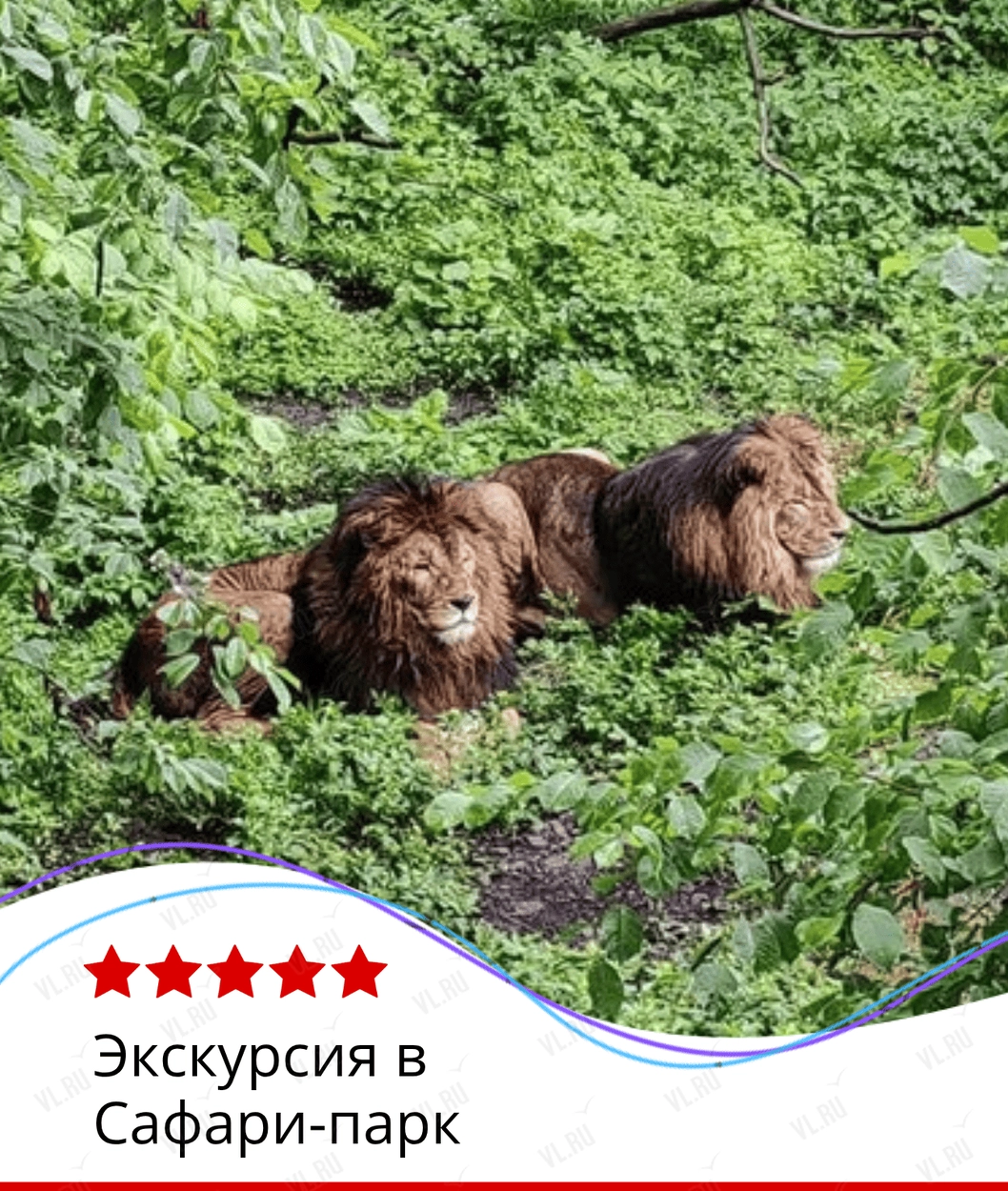 Экскурсия в Сафари-парк (Пять звёзд)