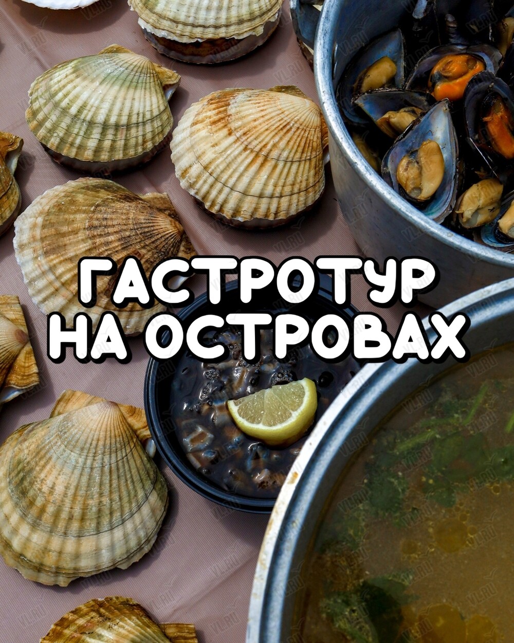 Морская экскурсия «Гастротур на островах и лежбище тюленей ларга» (Энерджи Тревел)