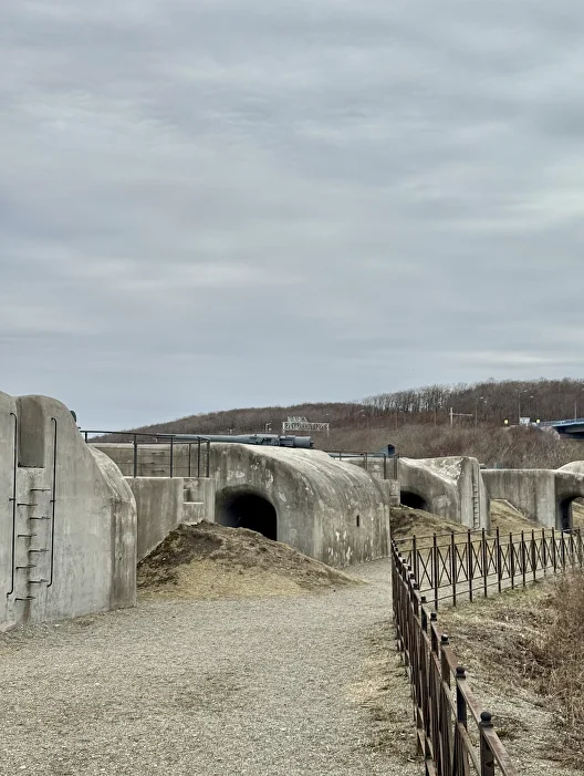 Владивосток и остров Русский - фото 6