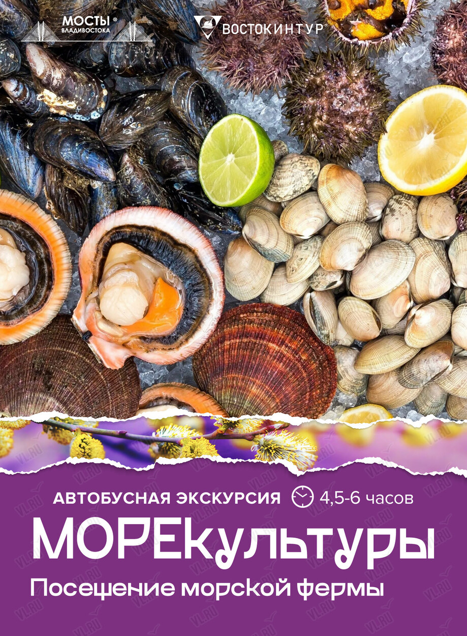 Автобусная экскурсия «МореКультуры»