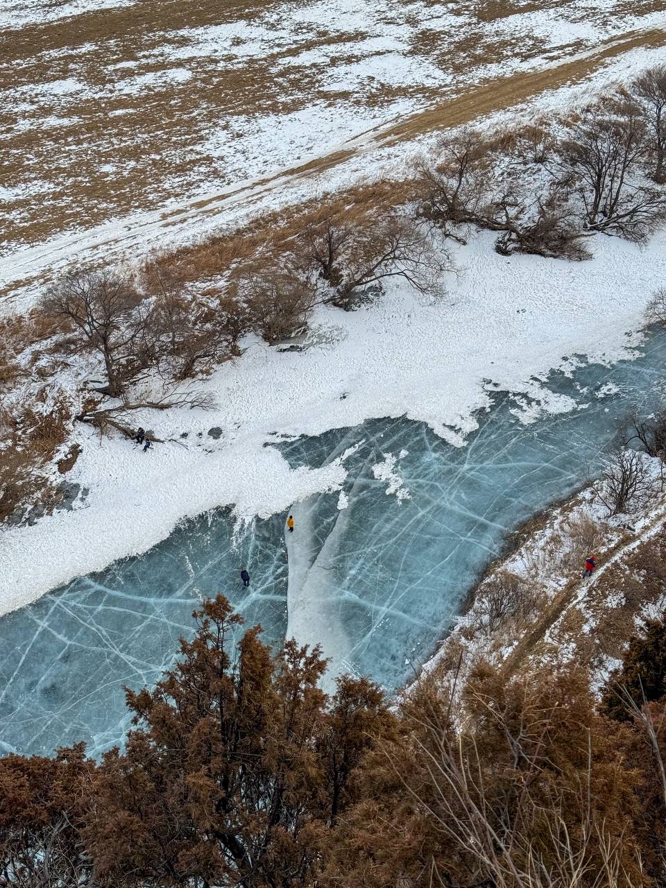 Катания на упряжке с хаски - фото 1