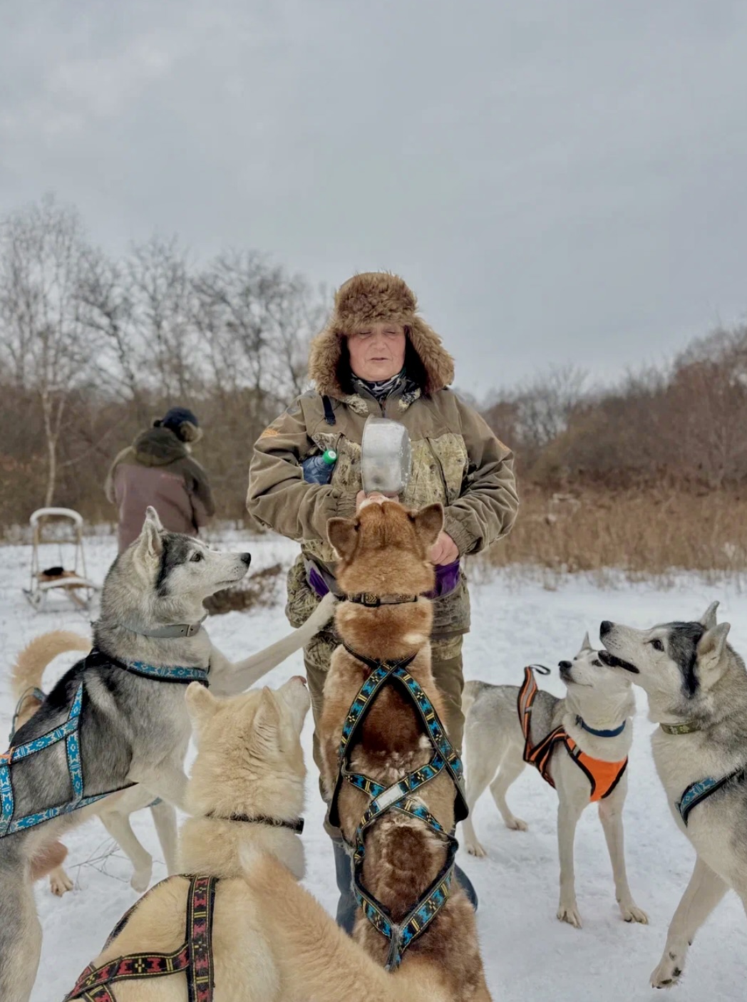 Катания на упряжке с хаски - фото 2