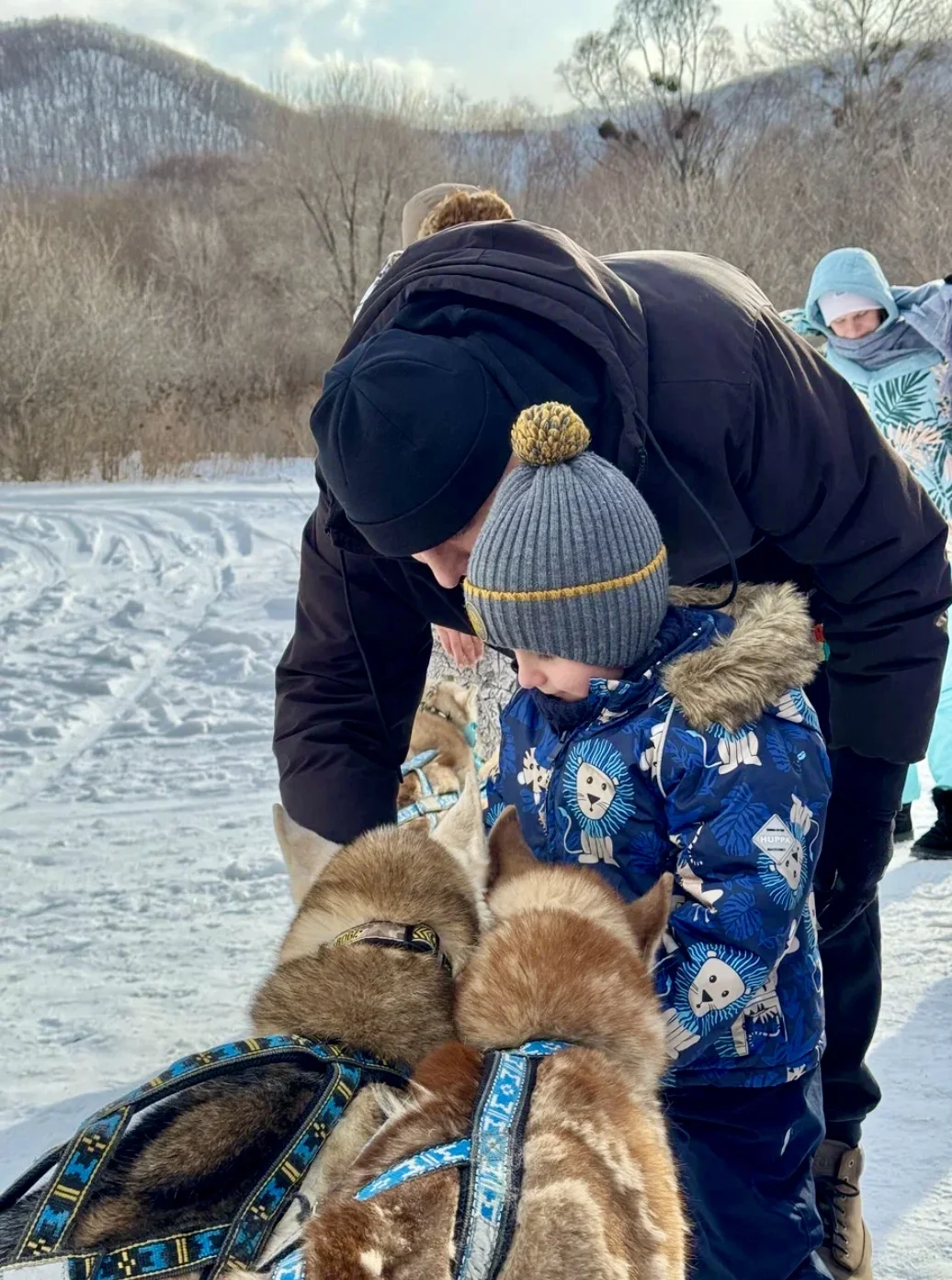 Катания на упряжке с хаски - фото 3