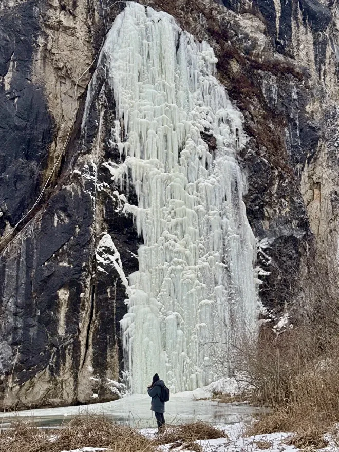 Катания на упряжке с хаски - фото 4
