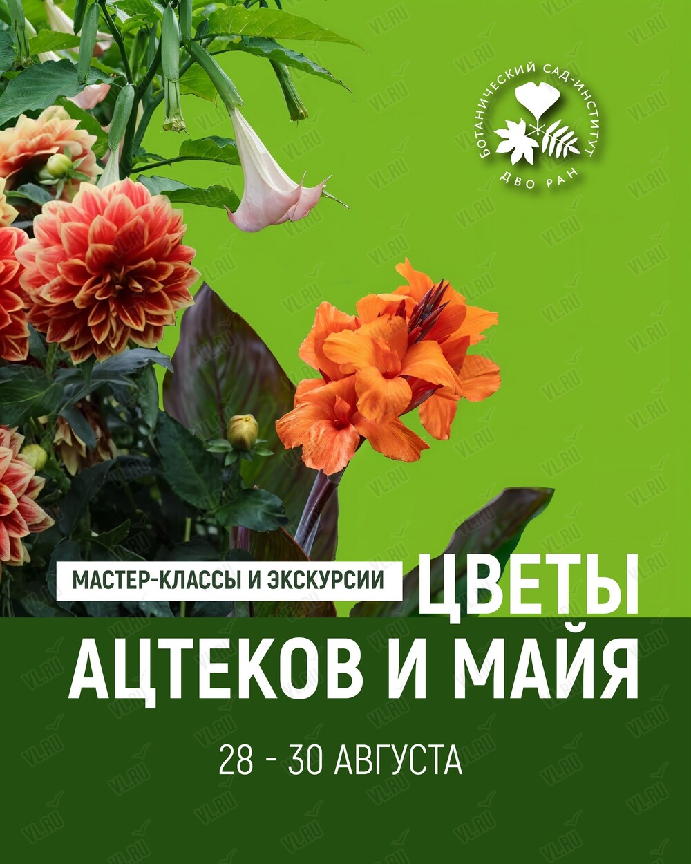 Экскурсия по экспозициям и мастер-классы «Цветы ацтеков и майя» (Ботанический сад ДВО РАН)