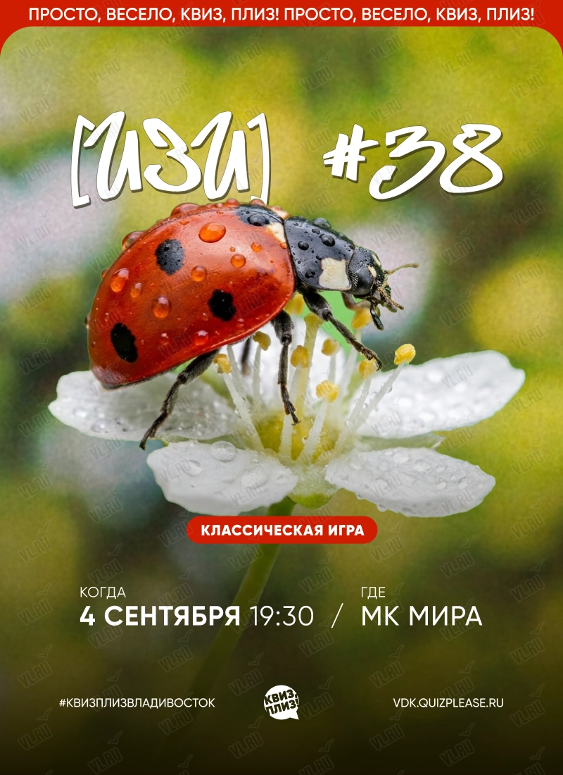 Квиз - плиз! изи 38 (Mira)