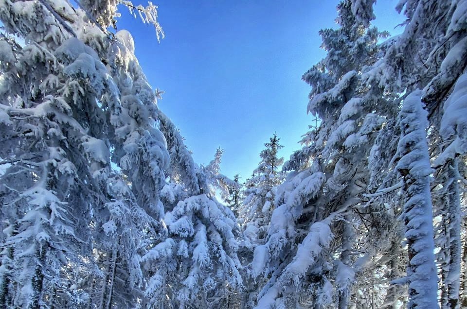 🏔️❄️Гора Изюбриная - тур с питанием - фото 1