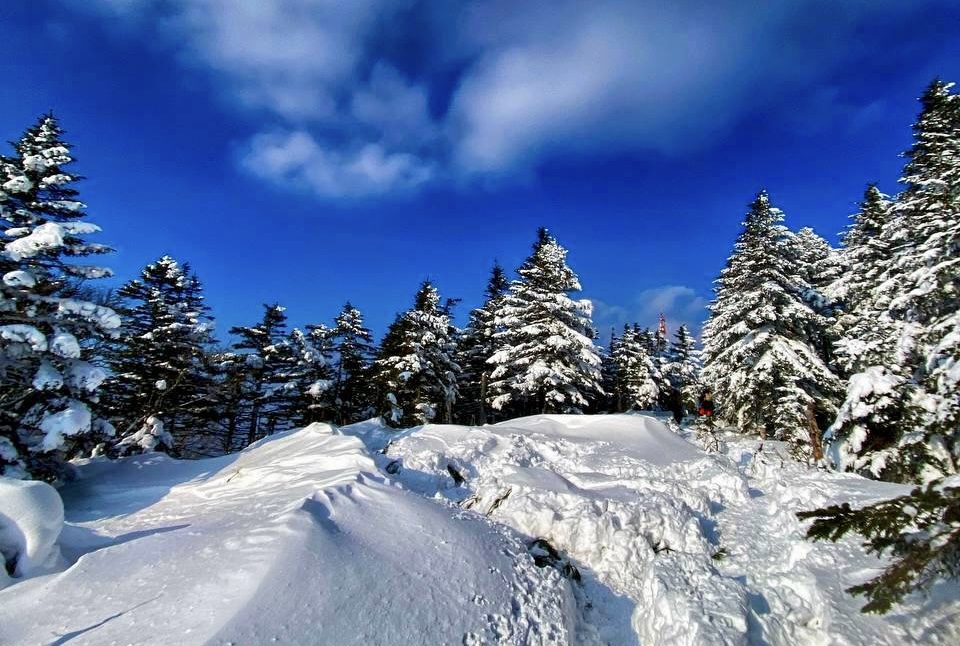 🏔️❄️Гора Изюбриная - тур с питанием - фото 2