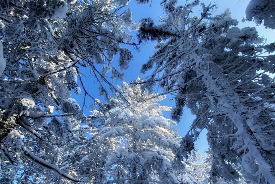 🏔️❄️Гора Изюбриная - тур с питанием - фото 4
