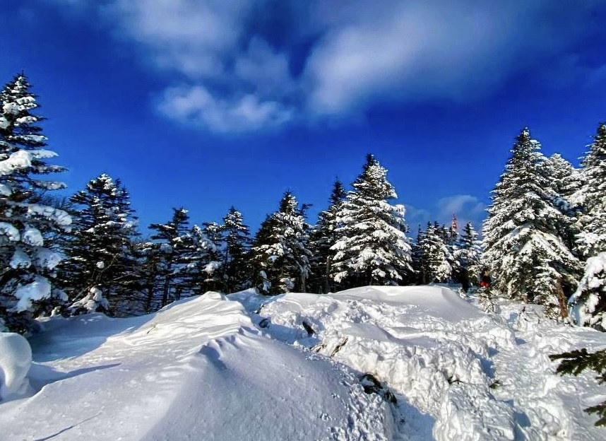 🏔️❄️Гора Изюбриная - тур с питанием