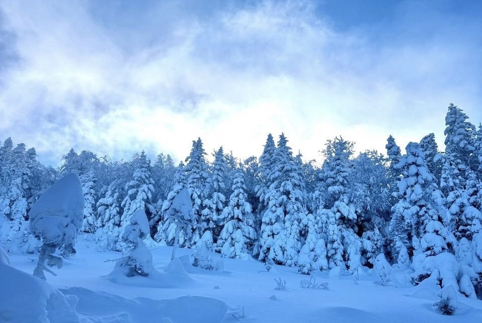 🏔️❄️Гора Голец - тур с питанием - фото 5