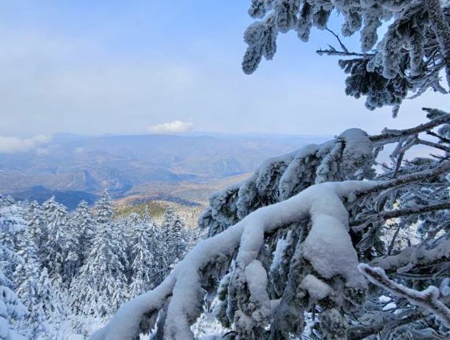 🏔️❄️Гора Голец - тур с питанием