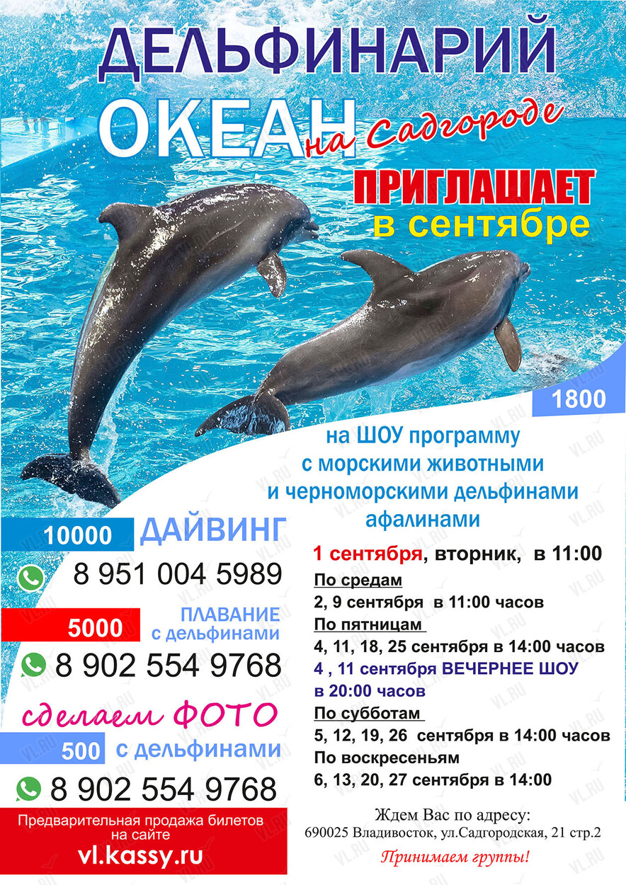 Дельфинарий «Океан»