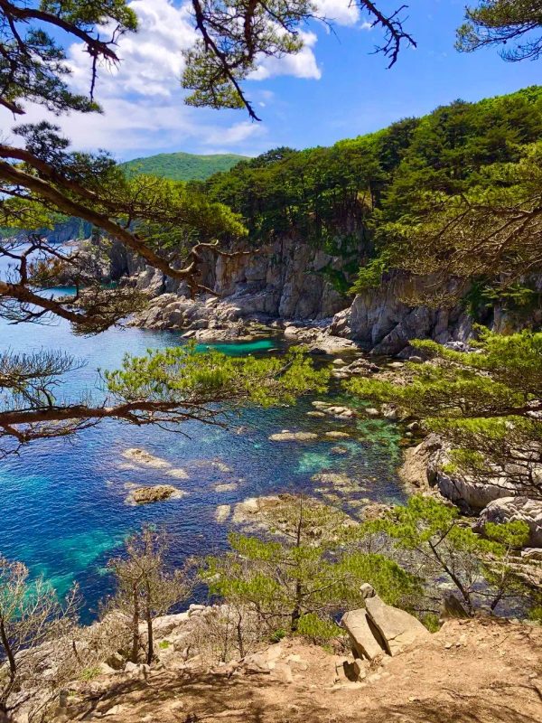 Гамова (4wd) - фото 2