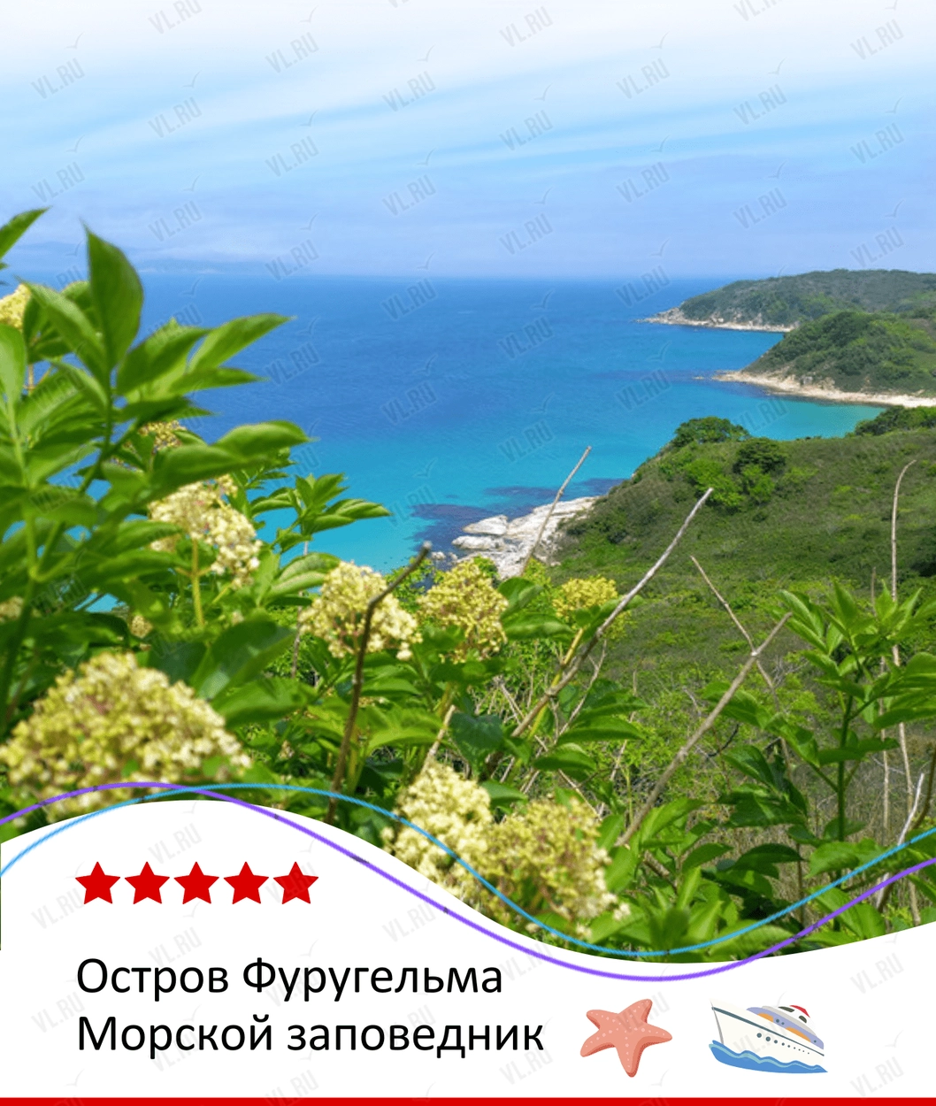 Экскурсия «Остров Фуругельма – самый южный остров России» (Пять звёзд)