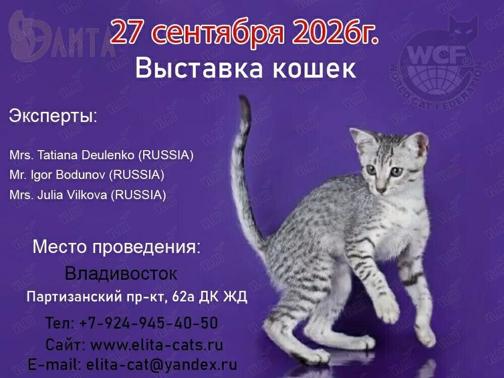 Международная выставка кошек (Дворец культуры железнодорожников)