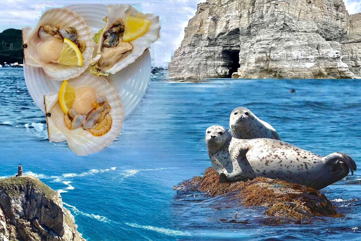 Экскурсия «Морское приключение: о. Русский - о. Шкота - м. Тобизина - морские котики и мореферма» (Гурупотурам)