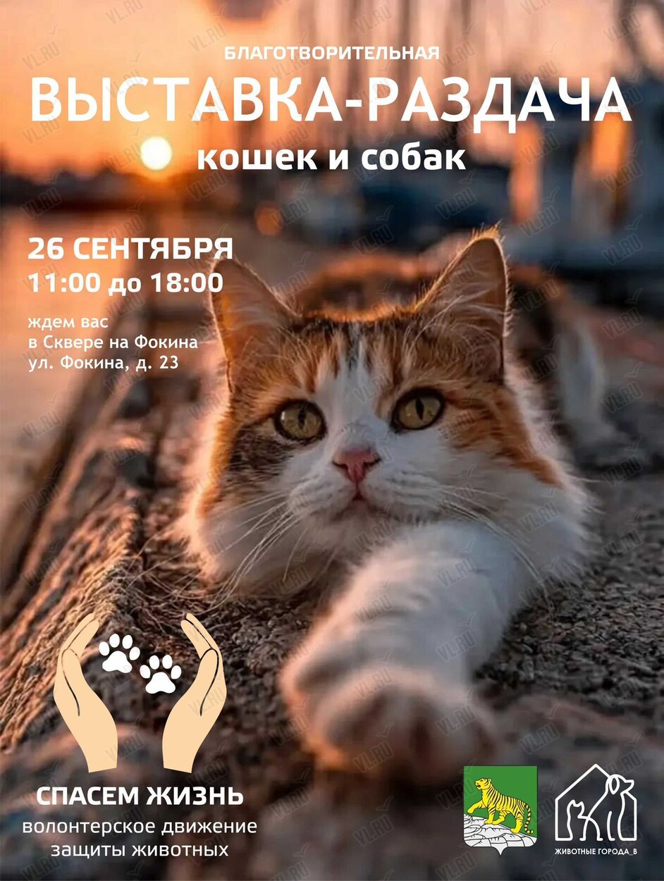 Благотворительная выставка-раздача животных (Площадь на Адмирала Фокина)