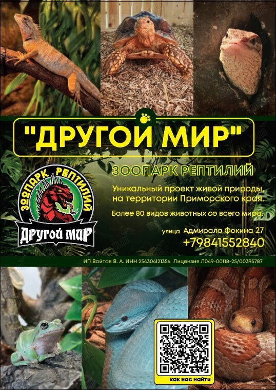 Зоопарк рептилий «Другой мир»: показательные кормления + экскурсии