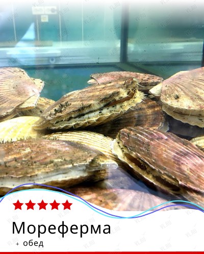 Экскурсия «Мореферма + отдых у моря» (остров Русский) (Пять звёзд)