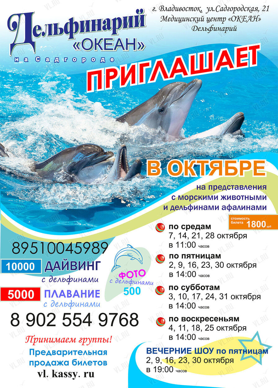Дельфинарий (Океан)