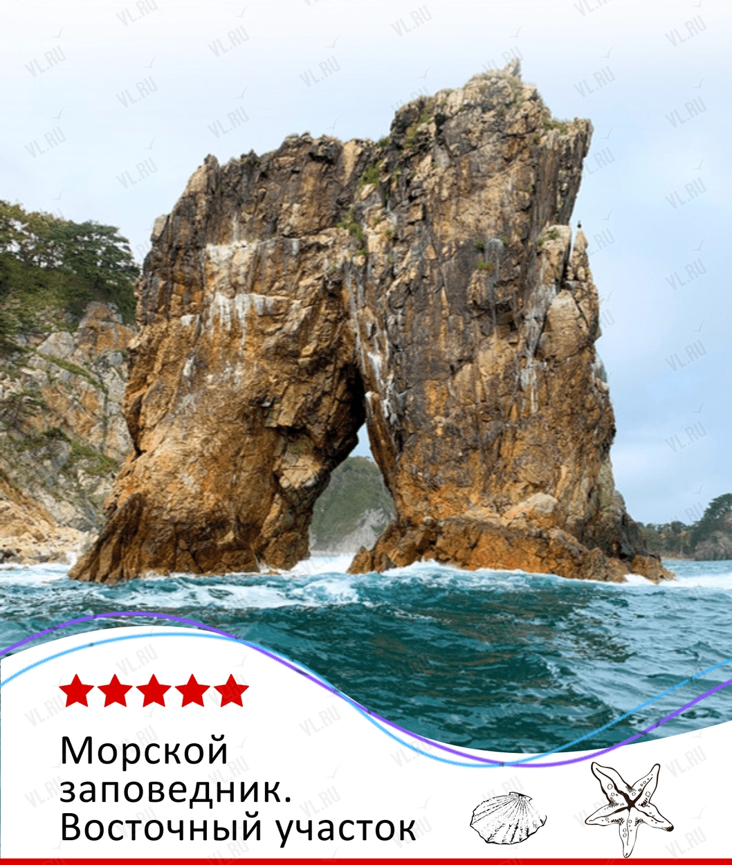 Экскурсия «Морской заповедник. Восточный участок» (Пять звёзд)