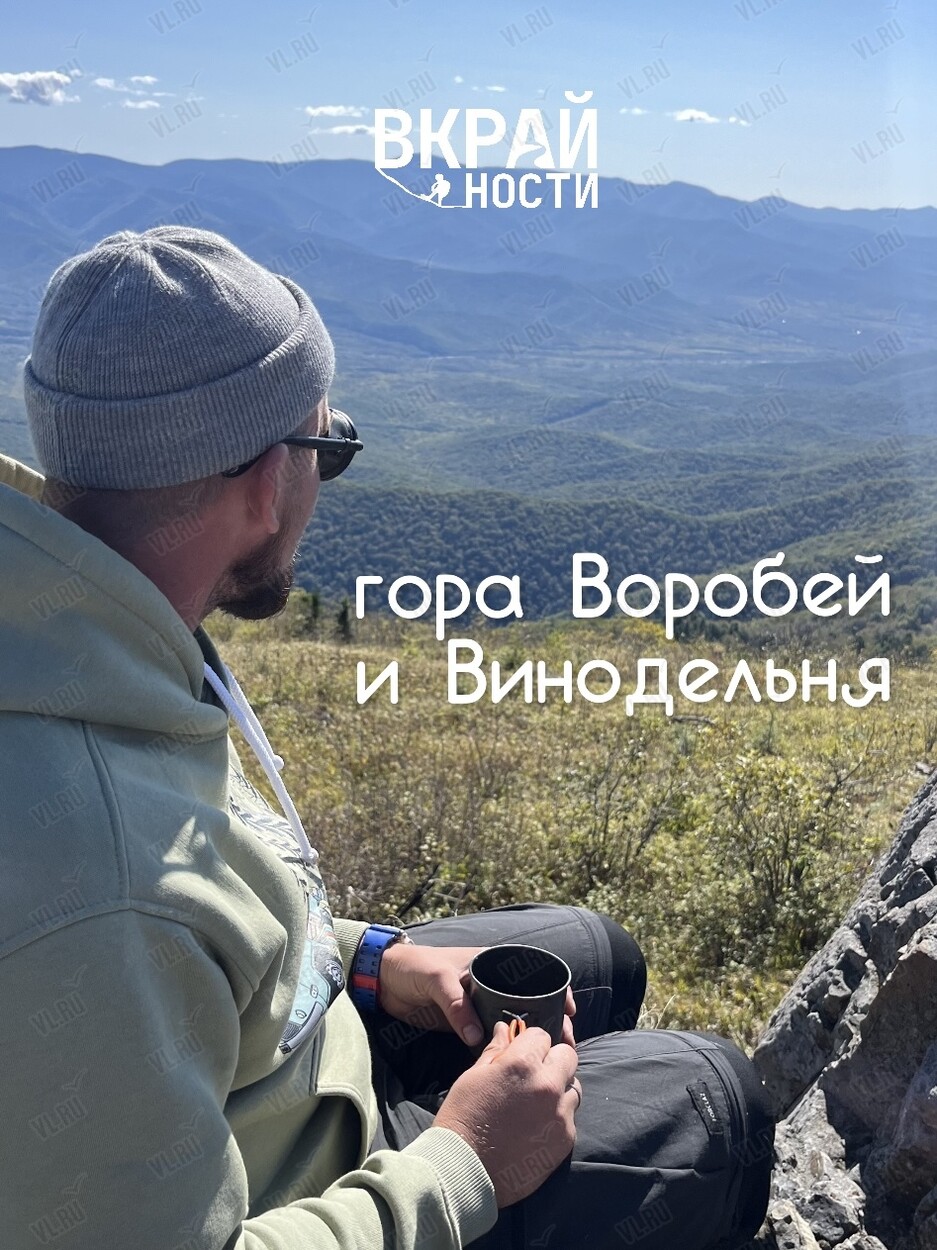 Тур «Гора Воробей + винодельня»