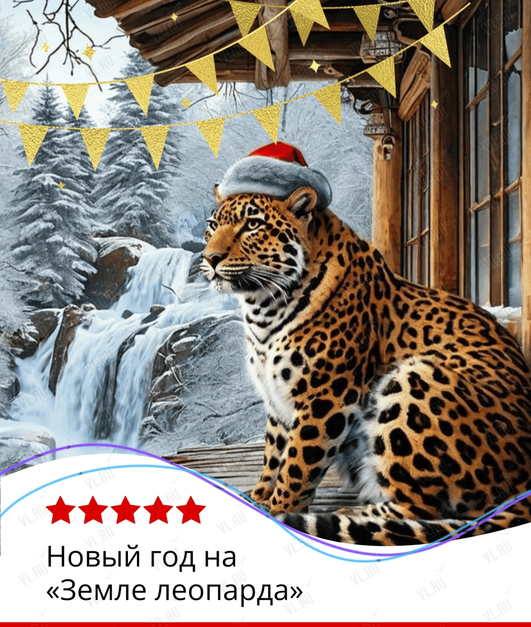 Тур «Новый год на "Земле леопарда"»