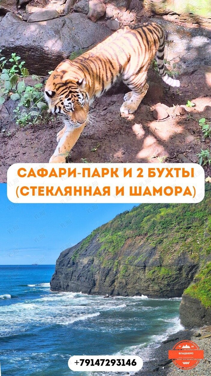 Тур «Сафари-Парк и две бухты (Стеклянная - Шамора)»