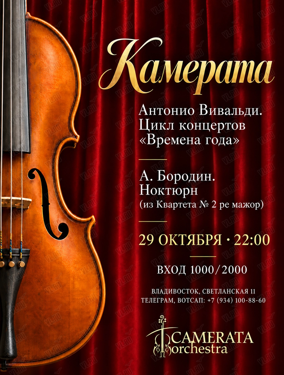 «Камерата» с программой: А. Вивальди – «Времена года» - А. Бородин – «Ноктюрн» (Синкопа)