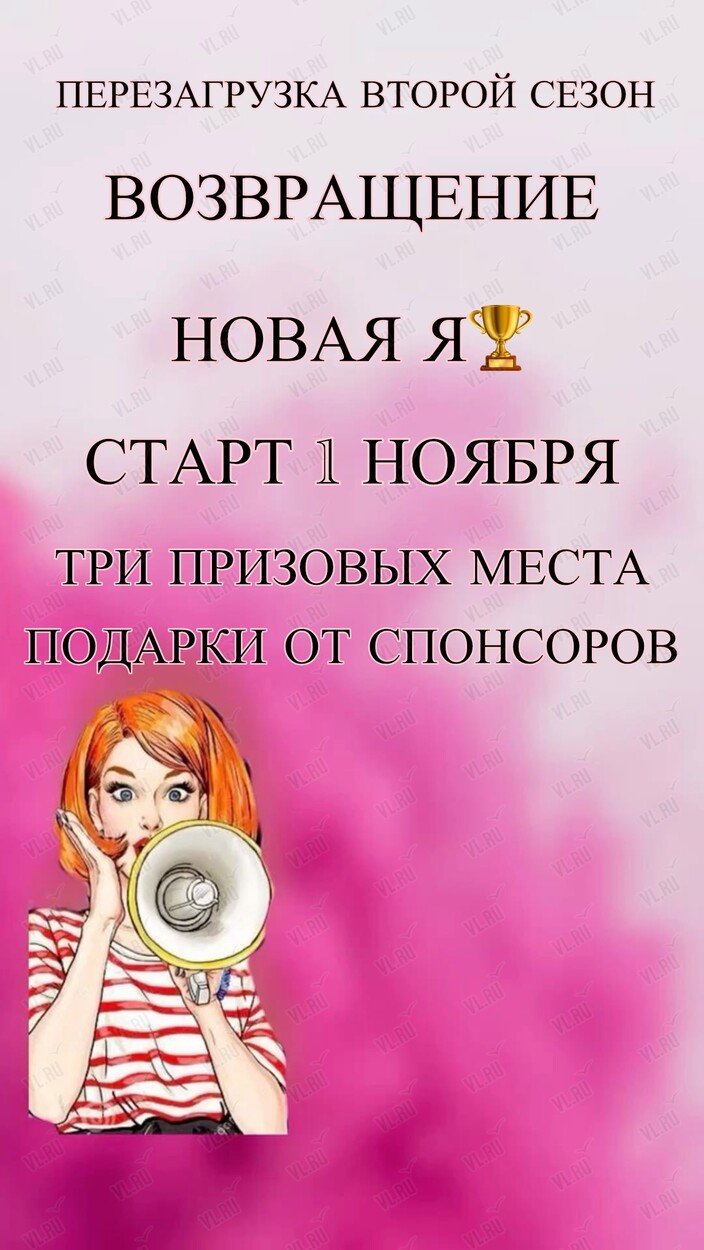 Проект «Перезагрузка 2. Возвращение» (Stormy Dance)