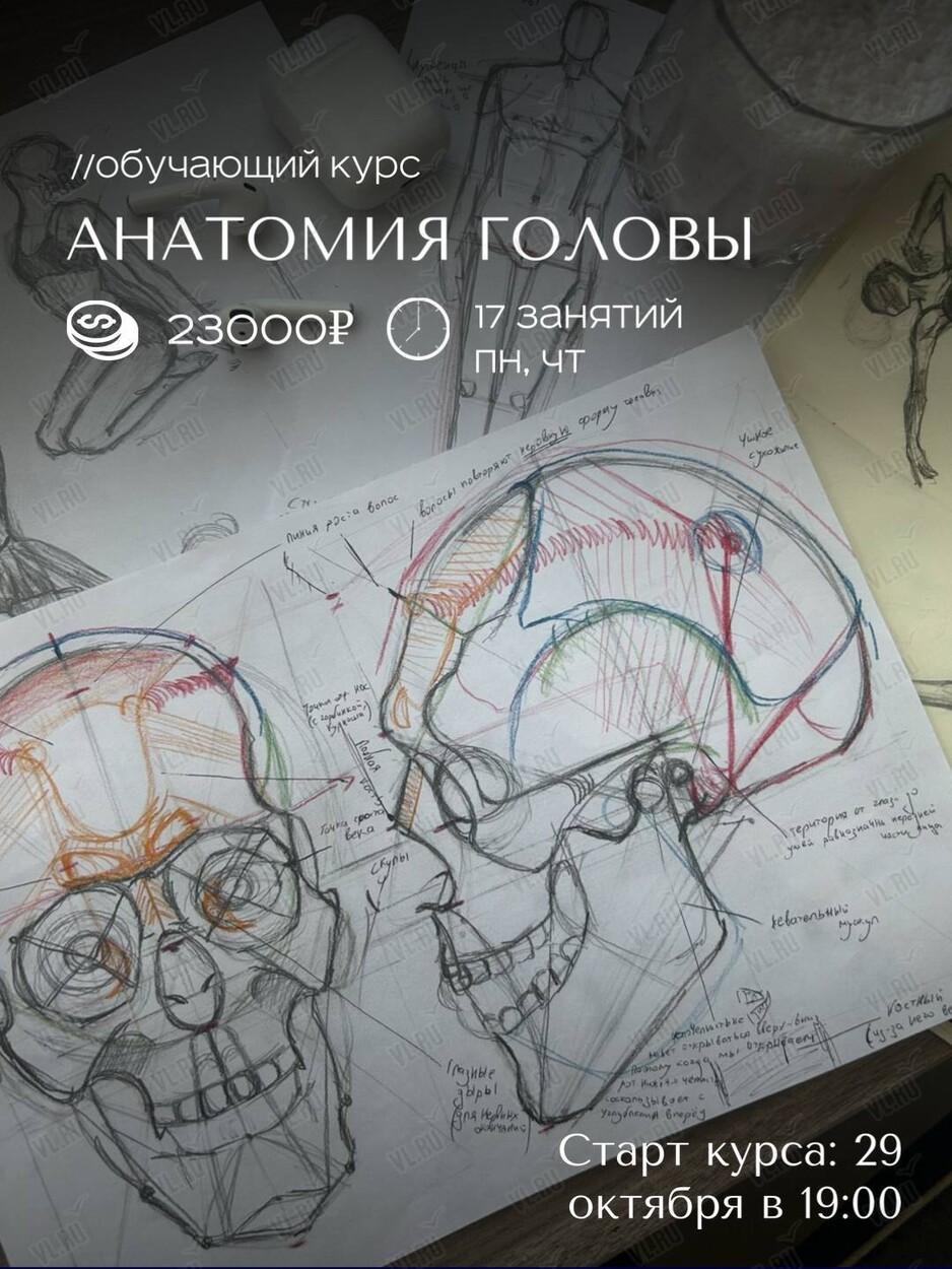 Обучающий курс по живописи «Анатомия головы» (ВостокАрт)