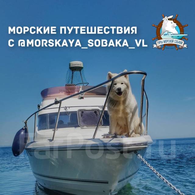 Vlad Sea - морское такси - фото 2