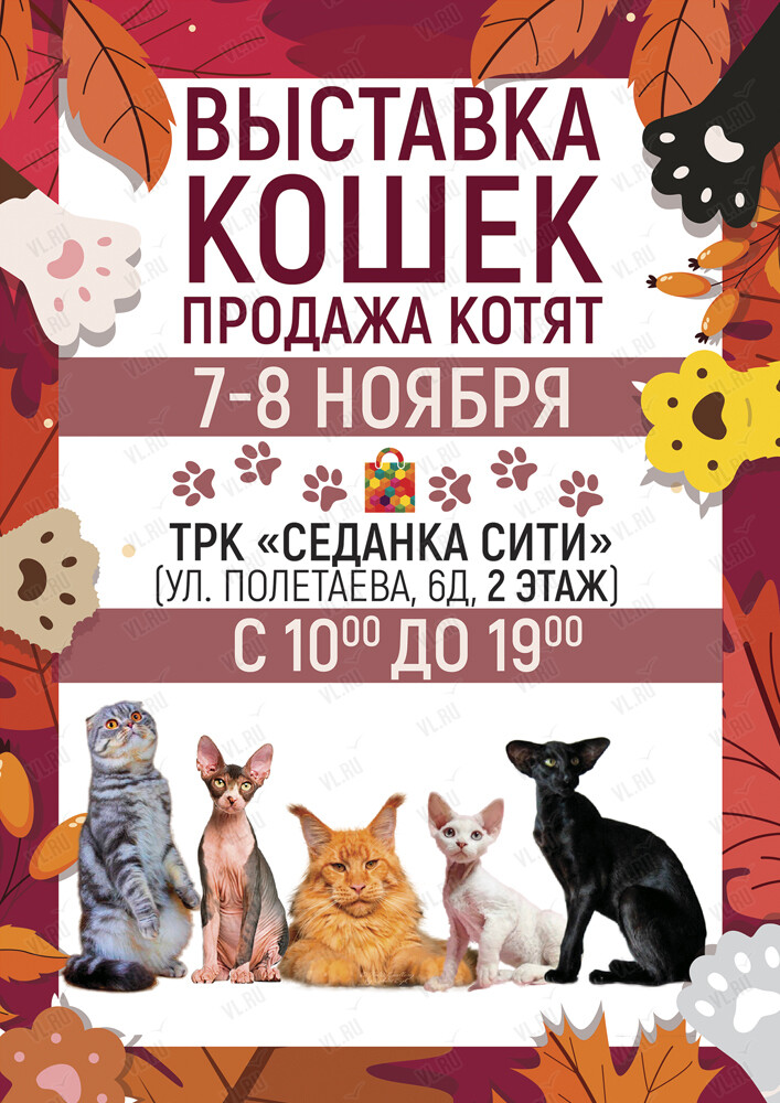 Международная Выставка Кошек. Ярмарка элитных котят (Седанка Сити)