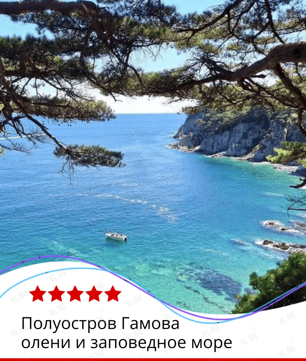 Экскурсия «Полуостров Гамова: олени и заповедное море» (Пять звёзд)