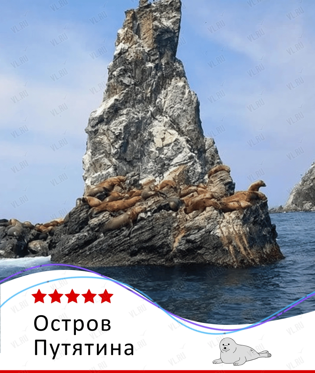 Экскурсия «Остров Путятина» (сивучи - ларги - кекуры) (Пять звёзд)