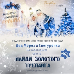 Новогодний квест «Найди золотого Трепанга». Дед Мороз и Снегурочка (Музей трепанга)