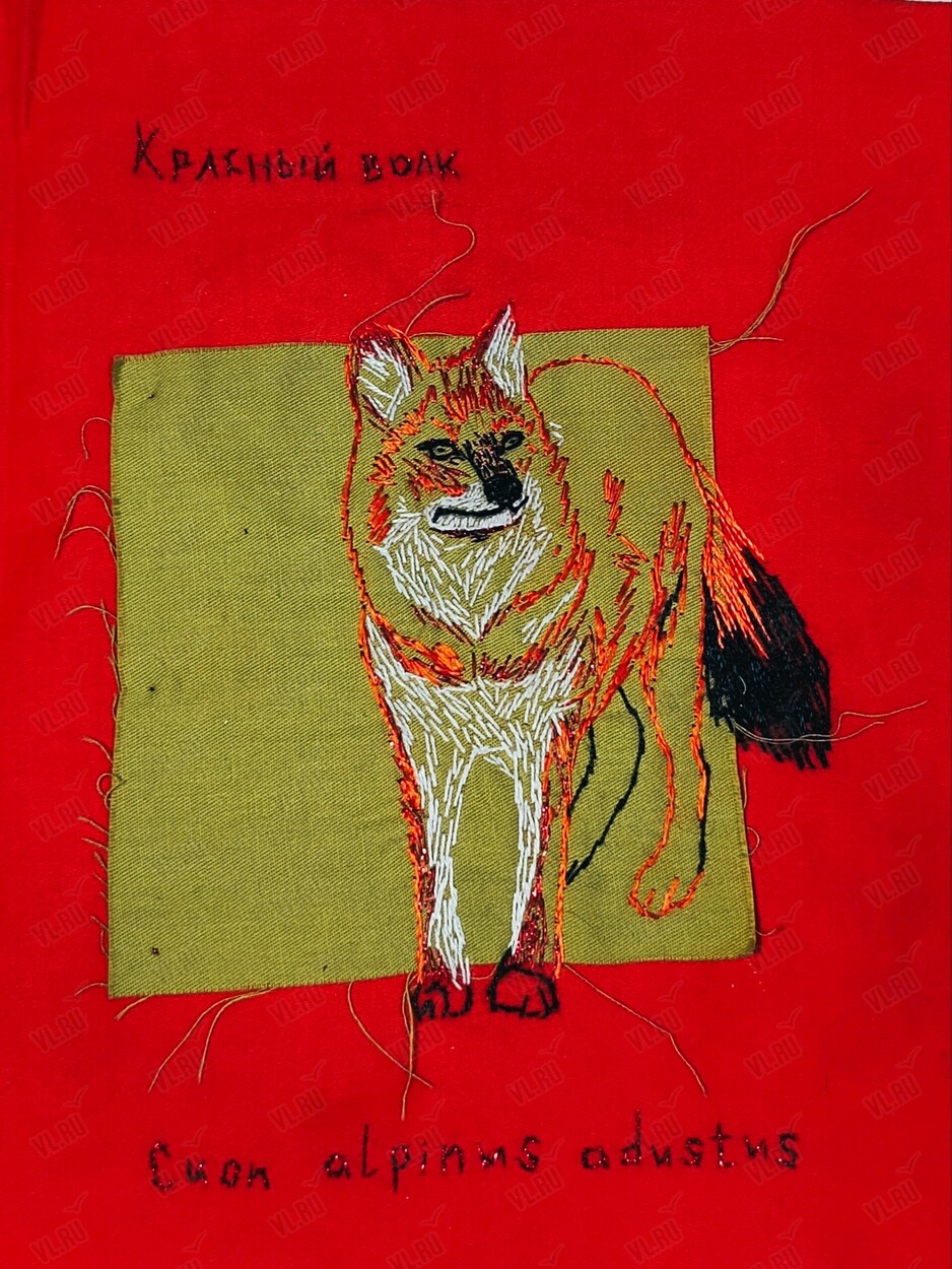 Выставка Анны Бат «Far Red: дальний красный» (Центр современного искусства Заря)