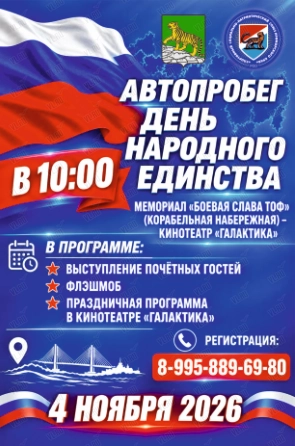 Праздничный автопробег «День народного единства» (Корабельная набережная)