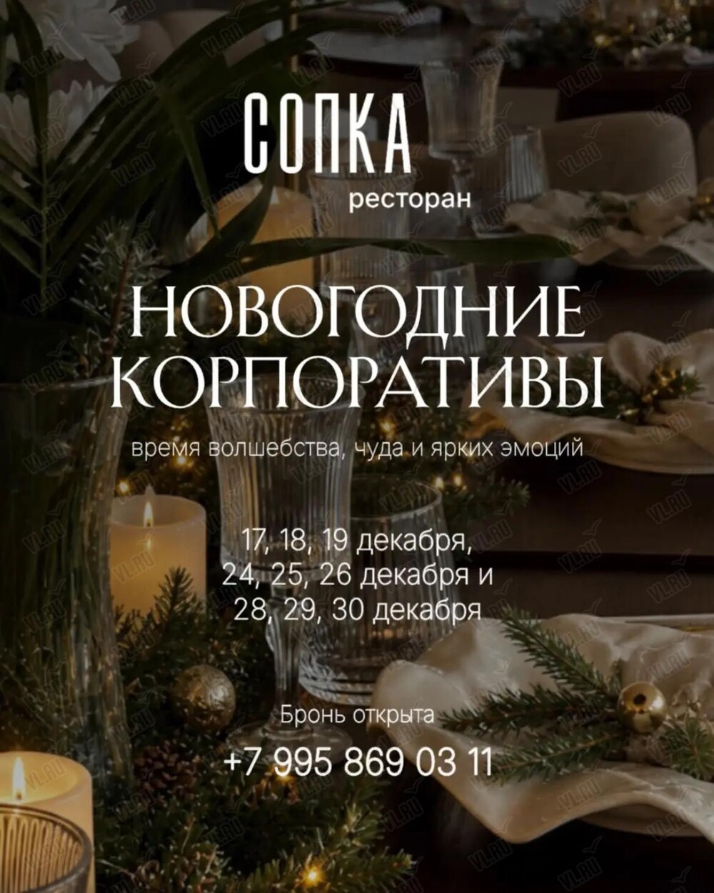 Новогодний корпоратив (Сопка)