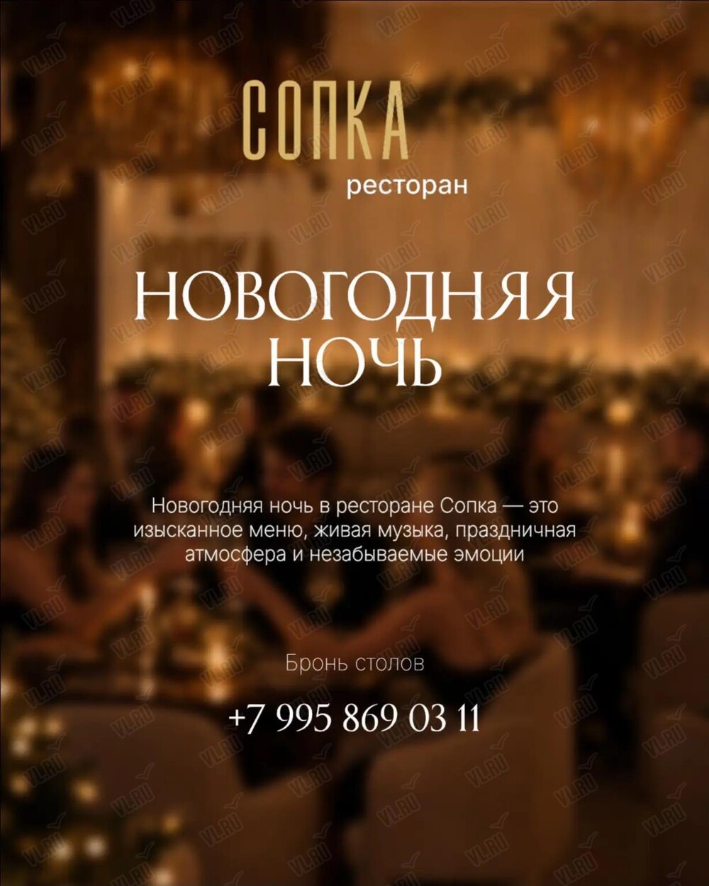 Развлекательная программа «Новогодняя ночь» (Сопка)