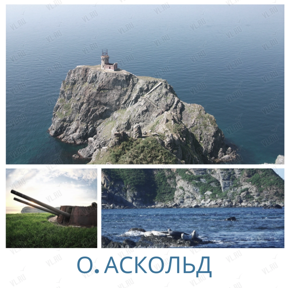 Тур «Остров Аскольд + тюлени и сивучи» (ФориТур Приморье)