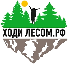 Ходи Лесом