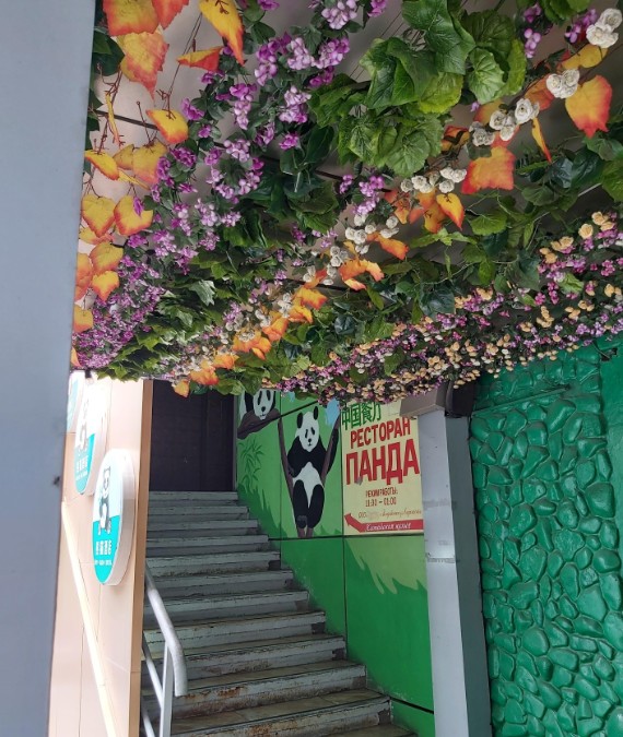 Панда - фото 5