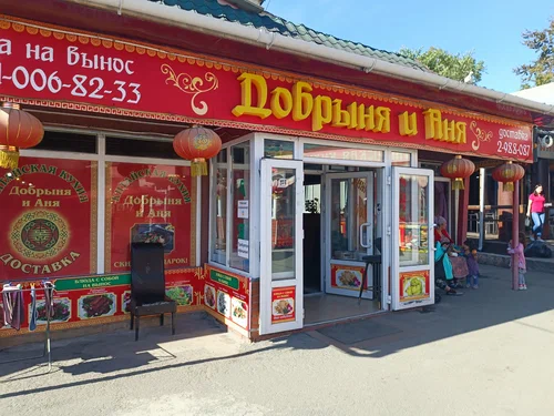 Добрыня и Аня - фото 1