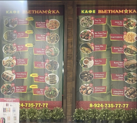 Вьетнамка - фото 8