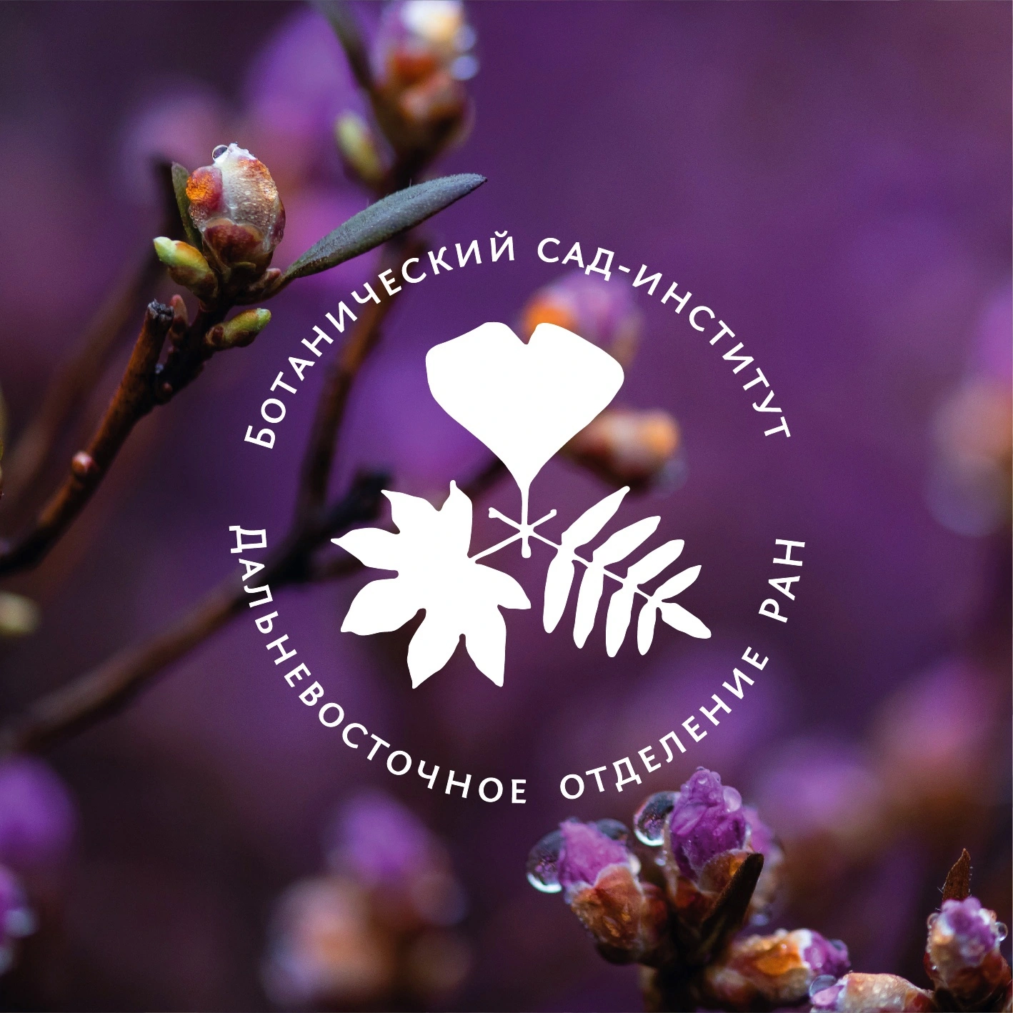 Ботанический сад