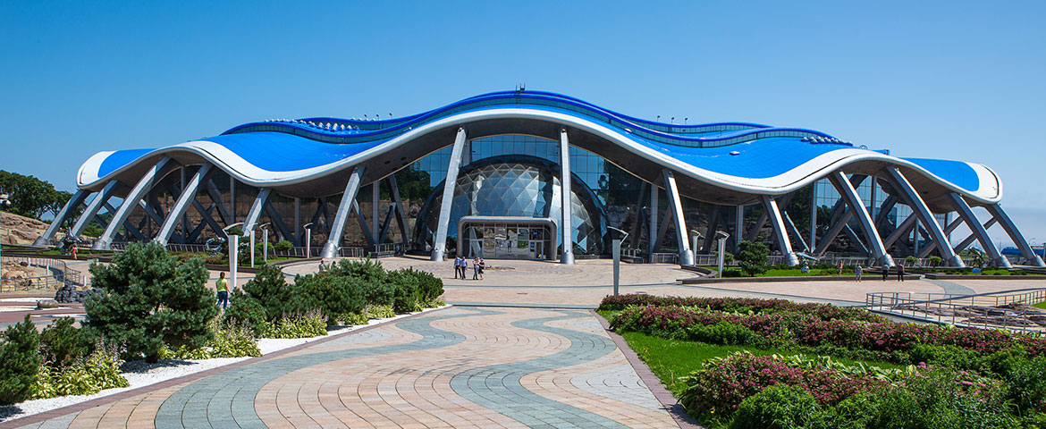 Приморский Океанариум - фото 6