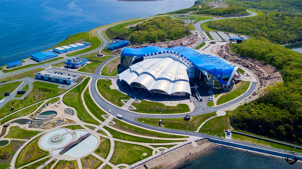 Приморский Океанариум - фото 27